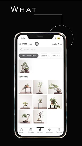 I-download ang Mirai Mobile – Ang Iyong Personal na Bonsai Guide - Screenshot 3