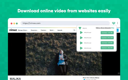 Video Downloader Pro: Pinakamabilis na Video Downloader para sa Chrome - Screenshot 1