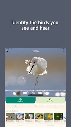 Audubon Bird Guide: Tukuyin ang Higit sa 800 Ibon nang Libre - Screenshot 8